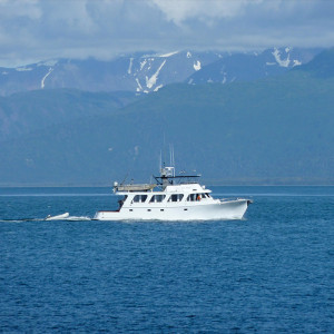 Miss Anne Marie copy